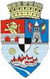 Primaria Timisoara